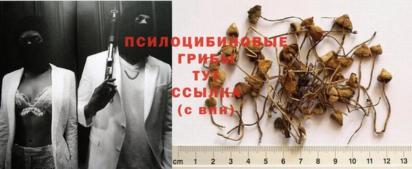 меф Абинск